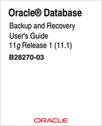 Oracle Backup and Recovery User-s Guide